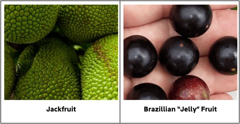 prostate foods